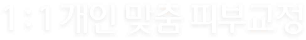 1:1 개인 맞춤 피부교정